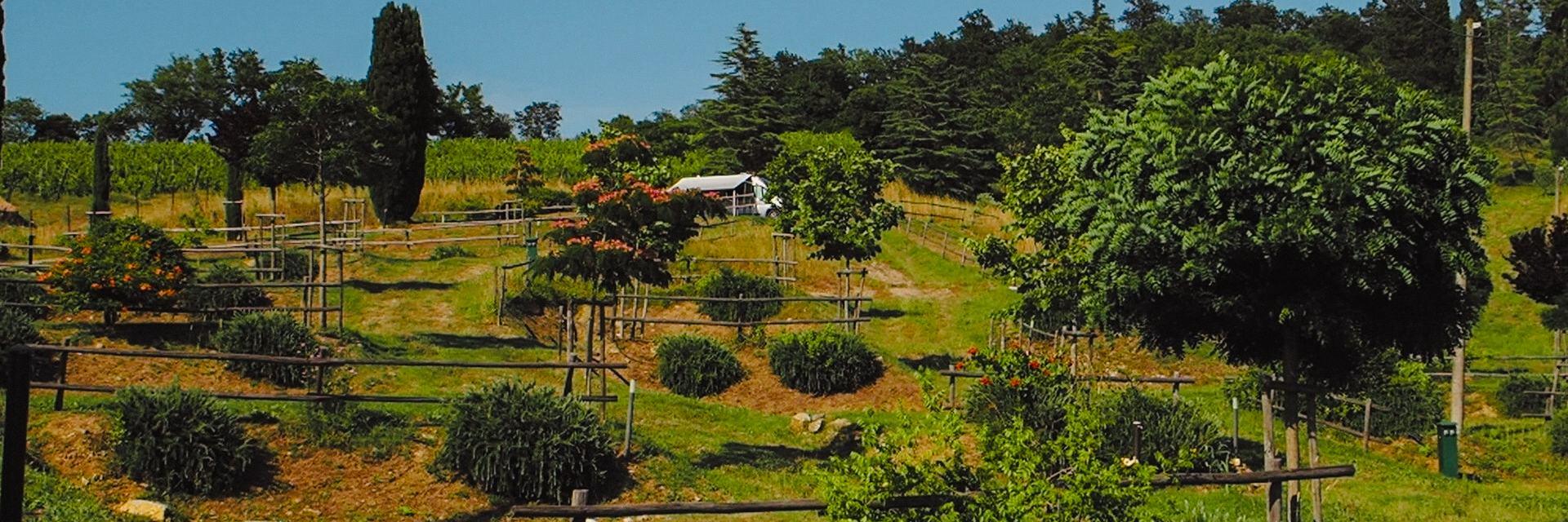Santa Colirinda 1